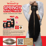 Outre X-Pression Twisted Up 2X Springy Afro Twist 12