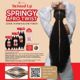 Outre Crochet Braids X-Pression Twisted Up 3X Springy Afro Twist 24”