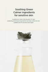 Infographic for the Soothing Green Calmer ingredients, demonstrating why this is the best sunscreen for sensitive skin.