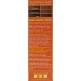 Moisture Rich Liquid Hair Color by Creme of Nature, C20 Light Golden Brown, with Shea Butter Conditioner